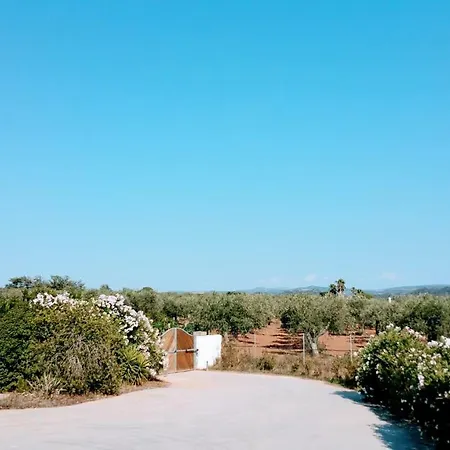 Rafael Con Piscina, Iun P4098