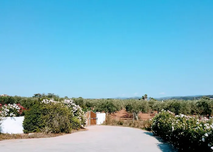 Rafael Con Piscina, Iun P4098